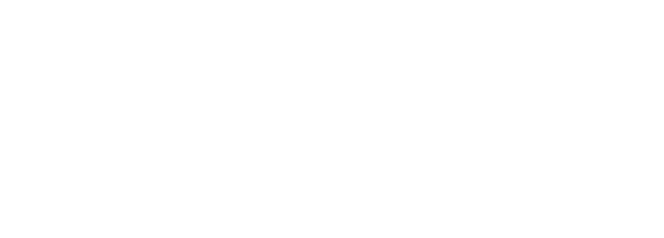 Diogo Carmo